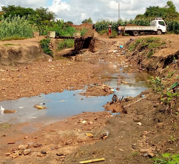 From Challenge to Action: Strengthening Community-Led Urban Ecosystem Restoration in informal settlements in the City of Lilongwe