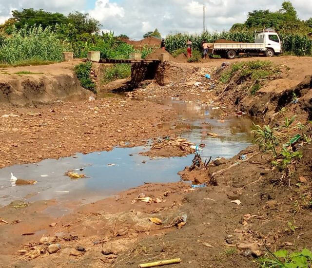 From Challenge to Action: Strengthening Community-Led Urban Ecosystem Restoration in informal settlements in the City of Lilongwe