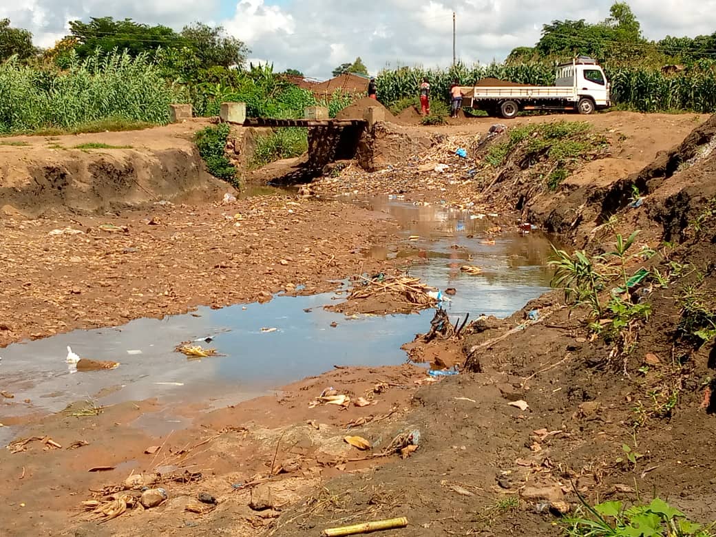 From Challenge to Action: Strengthening Community-Led Urban Ecosystem Restoration in informal settlements in the City of Lilongwe