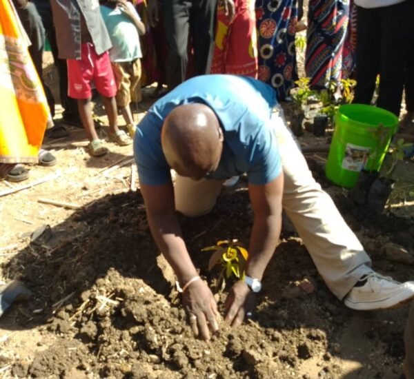 Healthy Ecosystems, Resilient Communities: Restoring Nature Through Local Action in  informal settlements in Malawi.