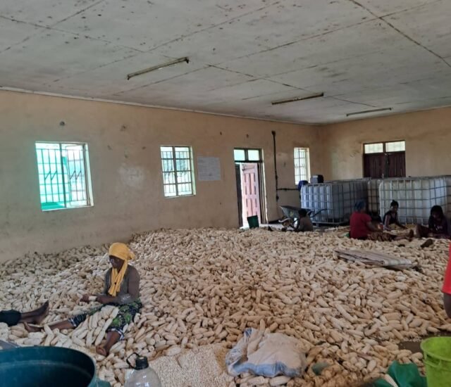 Beyond Land Acquisition: Turning Tamanga’s Land Victory into a Viable Housing Community
