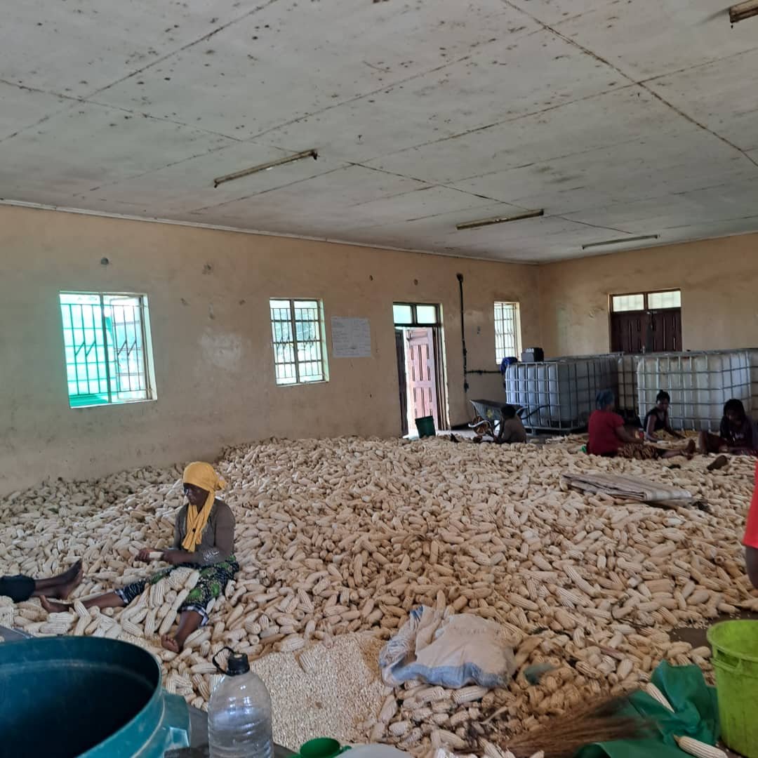 Beyond Land Acquisition: Turning Tamanga’s Land Victory into a Viable Housing Community
